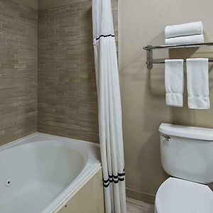 King Room Roll Shower Disability Access
